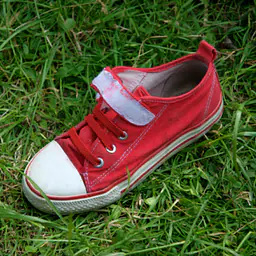 Plimsoll Sneakers - Master